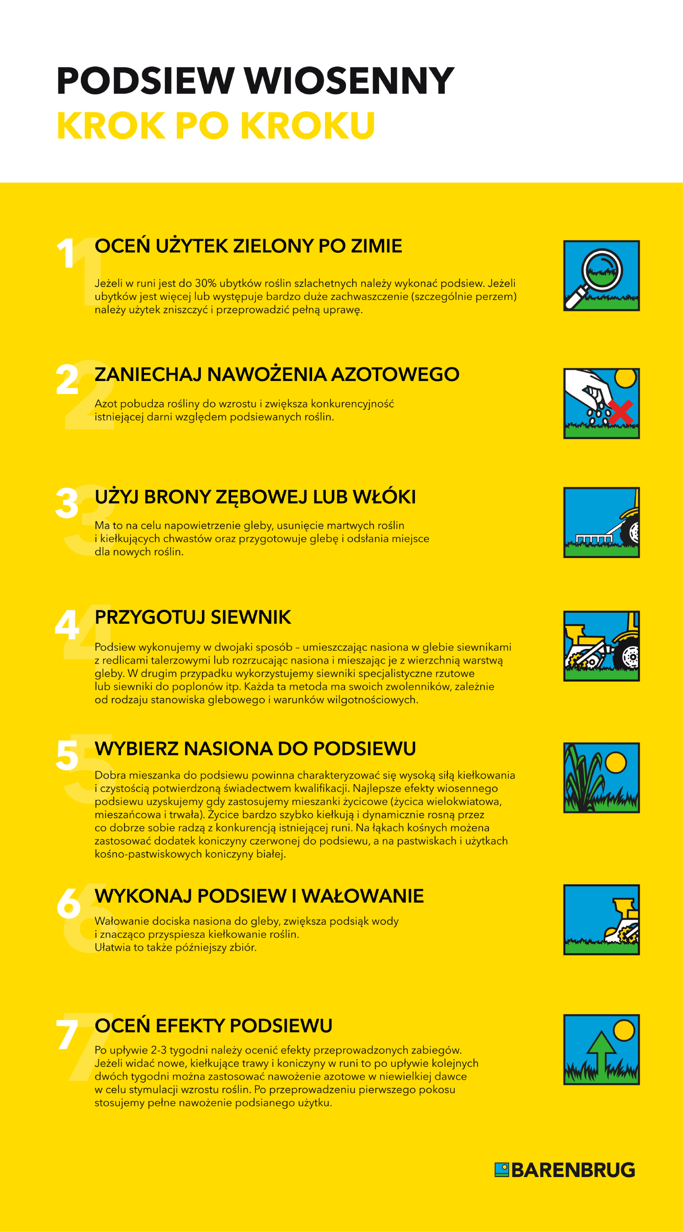 infografika_medium (1).png